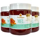 Mel Flores de Eucalipto 1kg - Eleito o Melhor Mel do Mundo Kit com 3 - Prodapys