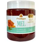 Mel Flores De Eucalipto 1Kg - Eleito O Melhor Mel Do Mundo - Prodapys