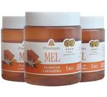 Mel Flores de Laranjeira 1kg - Eleito o Melhor Mel do Mundo Kit com 3 - Prodapys