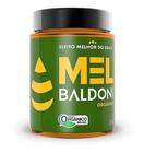 Mel Jarra Orgânico Vidro 500gr - Baldoni