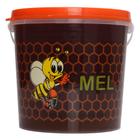 Mel Puro Flor Silvestre (Balde) 1Kg - Wax Green