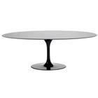 Mesa de Jantar Saarinen Oval 120x80 cm Laqueada