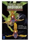 Mestre das Orquídeas - Maxillaria - Editora Europa