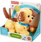 Meu Primeiro Cachorrinho Fisher-Price - MATTEL