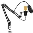 Microfone Condensador BM800 + Braço Suporte Articulado + Pop