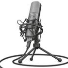 Microfone Streaming Trust GXT 242 Lance Cardioide Unidirecional com Tripé Filtro Pop e Antivibrações