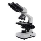 Microscópio Binocular 1000x Ótica Acromática LED Estudo e Profissional