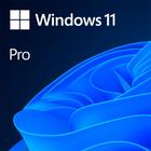 Microsoft Windows 11 Pro, 64 Bits - COEM/DVD - Mídia Física - FQC-10520