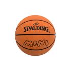 Mini Bola de Basquete - Sky Ball - 23cm - SKY - superlegalbrinquedos