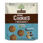 Mini Cookies 4 Castanhas Brasileiras Mãe Terra 120g