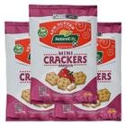 Mini Crackers Sem Glúten, Vegano Páprica Natural Life contendo 3 pacotes de 70g cada