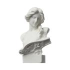 Mini Estatueta Celebridades Busto De Gesso Retratos Decoração Para Casa Desenho Prática Mitologia