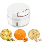 Mini Multiprocessador Triturador Manual 2 Lâminas Inox Alho