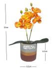 Mini Orquidea com Vaso Cimento 20cm Planta Artificial Flor