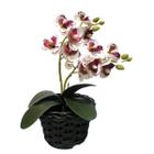 Mini Orquídea Mimo Lilás Artificial Qualidade Realista - Lazer e Estilo