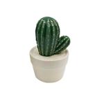 Mini Vaso De Cerâmica Cactus Pringlei Verde E Branco