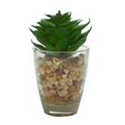 Mini vaso de vidro little rocks com planta verde 44584 - 4,5x4,5x8,5cm