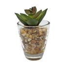 Mini vaso uban little rocks verde com planta 8x 8x 5 cm. - Urban