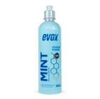 Mint 500ml lavagens a seco