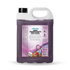 Mirax Desinfetante Concentrado Lavanda Campestre 5L