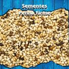 Mistura de Sementes - Coleiro - 500g - MS