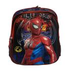 Mochila Costas Infantil Masculino Spider Aranha 3D Escolar