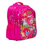 Mochila Infantil Resistente Amy Rose 3D Led Escolar Feminina - TOYS 2U