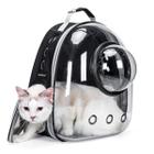 Mochila Para Cães E Gatos Transparente Com Bolha Acrílica - Desert