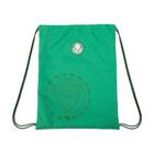 Mochila Saquinho Palmeiras X01 - Alviverde