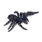 Modelo de ação realista Animal Figures Spider Toy Wokex