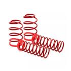 Mola esportiva RC 013 Red Coil Sonata