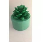 Molde Forma Silicone Sabonete Suculenta Mini Cacto Mod 2 - Decore Artesanatos SP