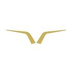 Moldura Frontal Grade Para Daf XF - Dourado - Par