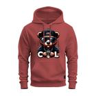 Moletom Canguru Unissex Algodão Blusa De Frio Cool Bear