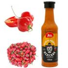 Molho Pimenta Cremosa Gourmet Mexicana Habaneros Red Picância Forte Bahia Premium 150ml Churrasco