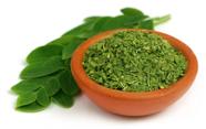 Moringa em pó 500 G - Premium 100% pura