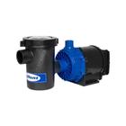 Motobomba De Piscina Syllent 28.000 Litros 1/3 Cv 220v