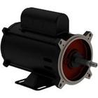 Motor Elétrico Jetpump Para Bomba De Piscina 1/2cv - 2polos - WEG