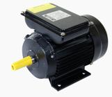 Motor Elétrico Mono. LYNUS 2,0CV 4P IP55 BIVOLT