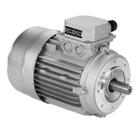 motor eletrico para afiadora universal 220V - Orion