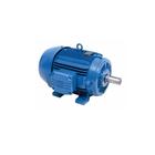 Motor Elétrico WEG W22 IP55 12,5CV 4P 220/380V Trifásico com Eixo Chavetado