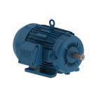 Motor eletrico weg w22 ir3 premium 0,75cv 4p trif.2/3v 60hz b3d/cç71