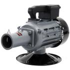 Motovibrador eletrico toyama tepu1.5s-220-xp 2 polos 1.5kw monofasico 220v