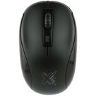 Mouse Maxprint Craft - 6013490