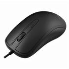 Mouse Óptico Philips M214 Usb Preto