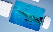 Mouse Pad Emborrachado Personalizado Praia Mar Oceano Peixe, 40 x 30