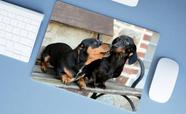 Mouse Pad Grande, Dachshund - Criative Gifts