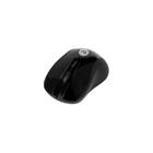 Mouse S/Fio Design Ergonomico Pt 0095 - Bright