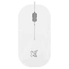 Mouse Surface Branco Com Fio 1200 Dpi Usb 2.0 60000135