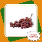 Muda de Uva Niágara Rosada Enxertada Vitis labrusca L.